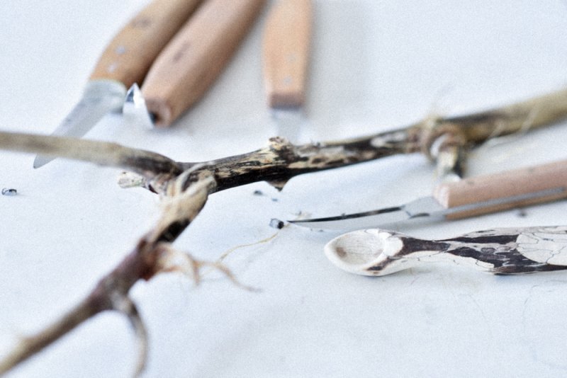 Schnitzen mit Giraffenholz, Xylaria longipes