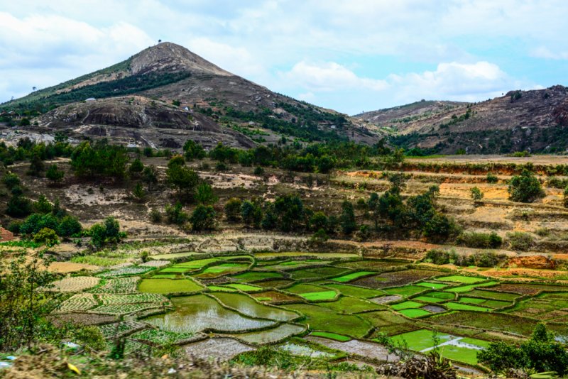 Reisfeldern Madagaskar