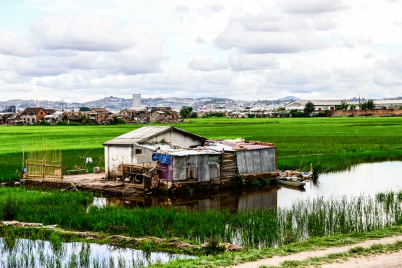 Haus zwischen Reisfelder Moramanga