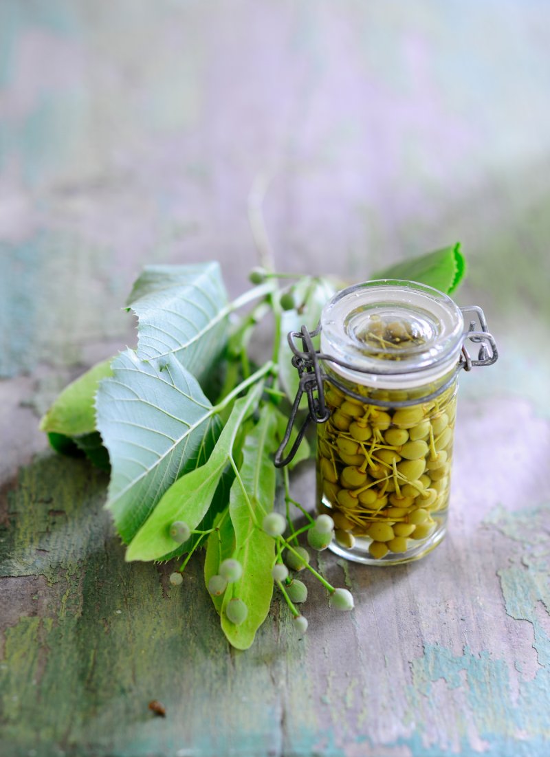 Eingelegte Linden Kapern in Essig